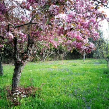 © Gîte Hermès_L'Isle-sur-la-Sorgue - <em>Laurence HUGUES</em>