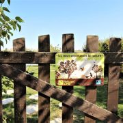 © Le Cottage Chalaron - <em>Gîtes de France</em>