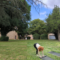 Yoga en plein air