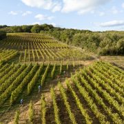 © Trail en Côte-Rôtie - <em>Instapades Studio</em>