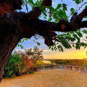 © YMCA - French Y_Villeneuve-lez-Avignon - <em>Grand Avignon</em>