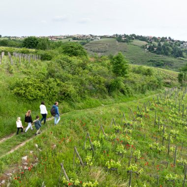 © Randonnée entre Rhône et vignobles : Tupin, Condrieu, Semons - <em>Instapades Studio</em>