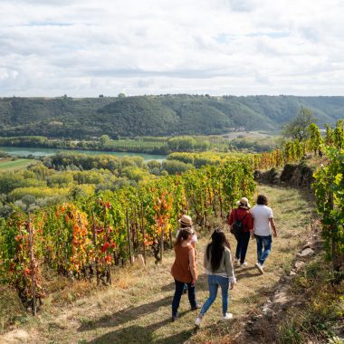 © Sentier des vignes - Vienne Condrieu - Ampuis - <em>Instapades Studio</em>