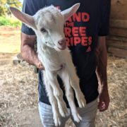 © Gîte des Pampilles - <em>Gîtes de France</em>