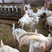 © Gîte des Pampilles - <em>Gîtes de France</em>