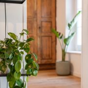 © La Roche Étoilée_Vienne - <em>DR</em>