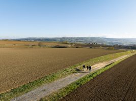 Entre plaine et collines