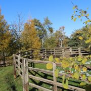 © La Pinède El Pinto - <em>Gîtes de France</em>