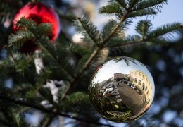 La vitrine de Noël des créateurs