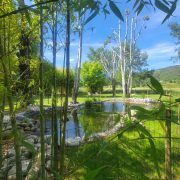 © Bassin d'agrément - <em>Lou Visetto</em>