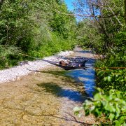 © Rio hamac - <em>FLACCOMIO</em>