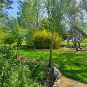 © Parc - <em>Lou Visetto</em>