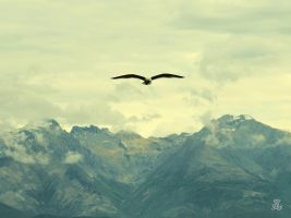 Exposition de photographies : Vole, de Florence Carles