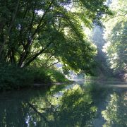 © Lône de l'Île du Beurre - <em>Centre d'observation de la nature de l'Île du Beurre</em>