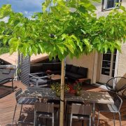 © Grande terrasse plein sud - <em>AVENAS Carole</em>