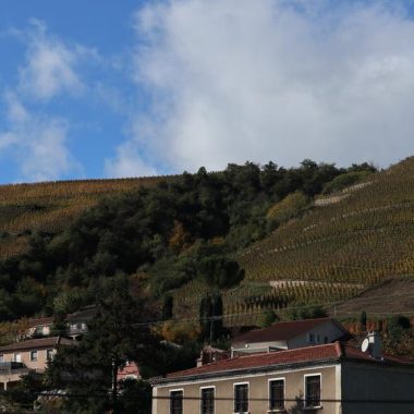 © Côte-Rôtie - <em>Clusel-roch</em>