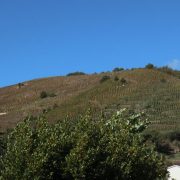 © Côteau - <em>clusel-roch</em>