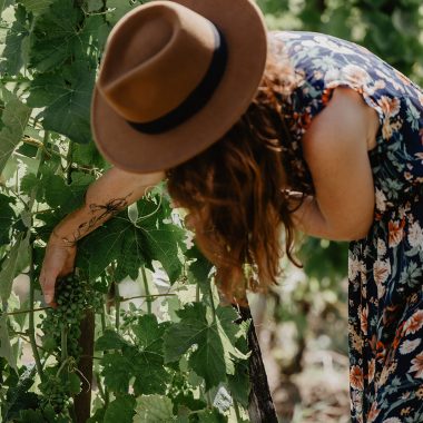 © Dans les vignes - <em>2025 GWEN DUMOULIN PHOTOGRAPHE, all rights reserved.</em>