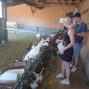 © Visite d'une ferme fromagère - <em>DR Rhône Trip</em>