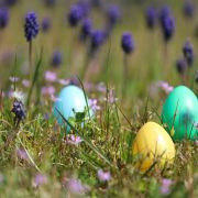 © Chasse aux oeufs dans les vestiges_Saint-Romain-en-Gal - <em>CD69 Julien Bourreau</em>