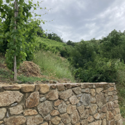 © LES TERRASSES - <em>Denis LARDIN</em>