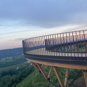 © BELVEDERE TUPINS & SEMONS - <em>Denis LARDIN</em>