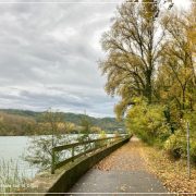 L'Île du Beurre_Tupin-et-Semons