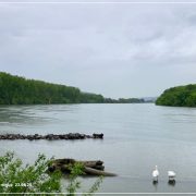 L'Île du Beurre_Tupin-et-Semons