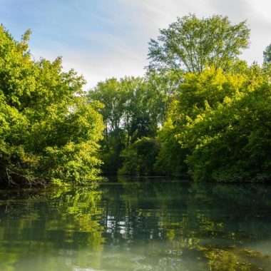 L'Île du Beurre_Tupin-et-Semons