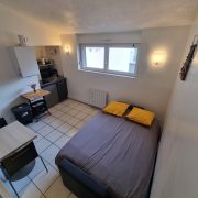 © Le Ptiramyde Futé - <em>Heraud gillet</em>