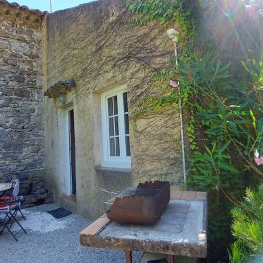 © Gîtes Mas Bel Espérance : Basilic - <em>Mas Bel Espérance</em>