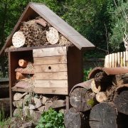 © Atelier Biodiversité_Tupin-et-Semons - <em>Île du Beurre</em>