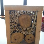 © Atelier Biodiversité_Tupin-et-Semons - <em>Île du Beurre</em>