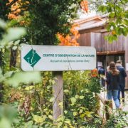 © Balades découverte du patrimoine naturel de l'île du Beurre_Tupin-et-Semons - <em>Sylvain Dalman</em>
