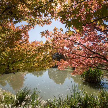 © Jardin du Bois Marquis - <em>En Marge</em>