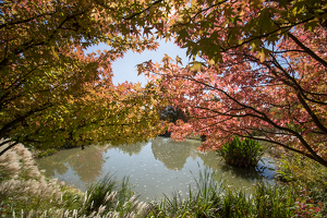 Jardin du Bois Marquis