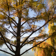 © Jardin du Bois Marquis - <em>En Marge</em>