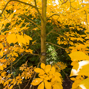 © Jardin du Bois Marquis - <em>En Marge</em>
