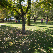 © Jardin du Bois Marquis - <em>En Marge</em>