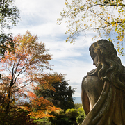 © Jardin du Bois Marquis - <em>En Marge</em>