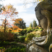 © Jardin du Bois Marquis - <em>En Marge</em>