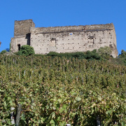 Vitis Vienna - Les Vignerons de Seyssuel