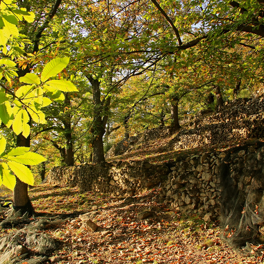 © Le Tour de la Haute Cévenne d'Ardèche - <em>© M.Rissoan-ADT07</em>