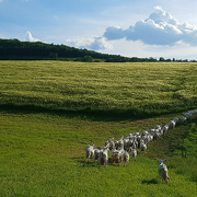Ferme de Chasse Nuage