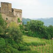 Château des Archevêques