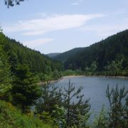 Sentier botanique Jean-Jacques Rousseau