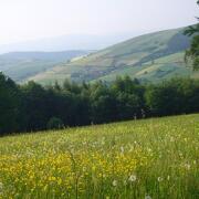 Sentier Jean-Jacques Rousseau