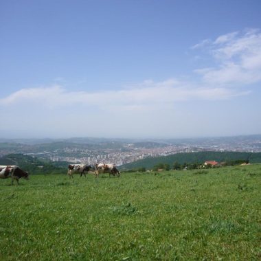 Sentier botanique Jean-Jacques Rousseau