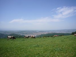 Sentier botanique Jean-Jacques Rousseau