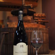 © Domaine Degache Frères - <em>http://www.coterotie-degache.fr/</em>